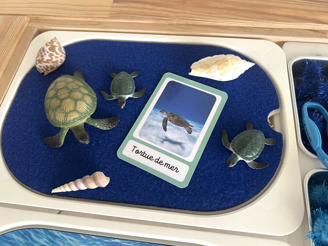 Decor-gazon-petit-bac-