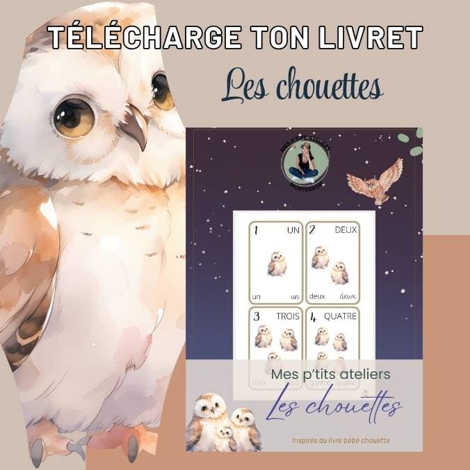 activités les chouettes