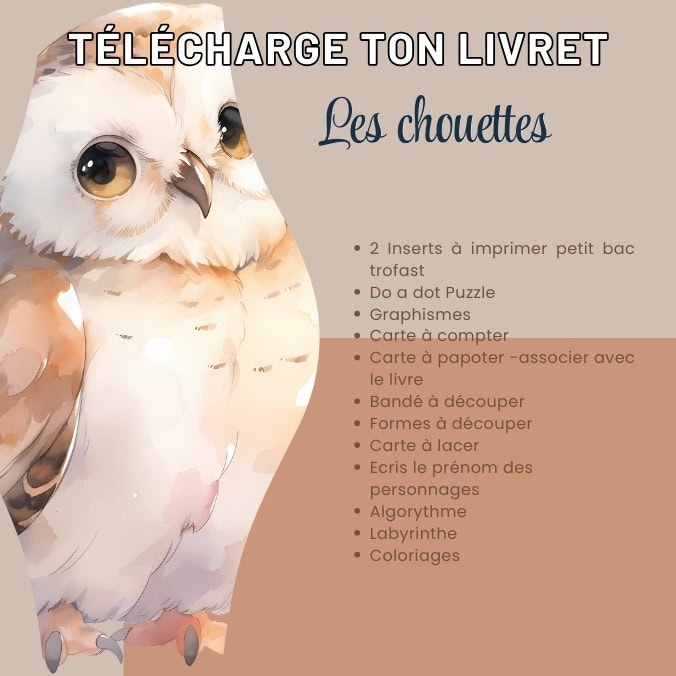 Les chouettes - livret d'activités – Image 2