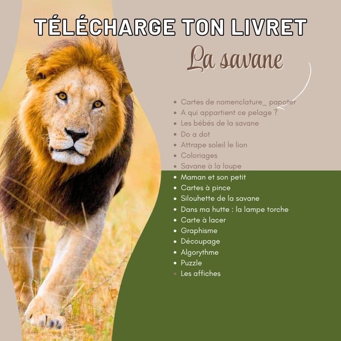 La savane - Livret d'activités – Image 2