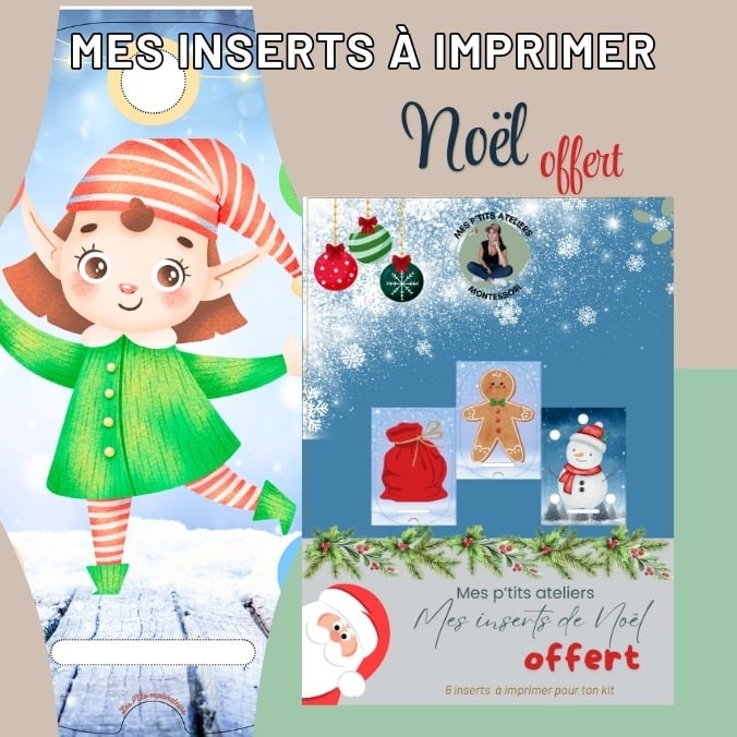 insert trofast à imprimer gratuit