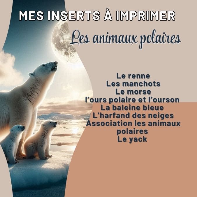 Les animaux polaires 16 inserts à imprimer pour Trofast IKEA – Image 2