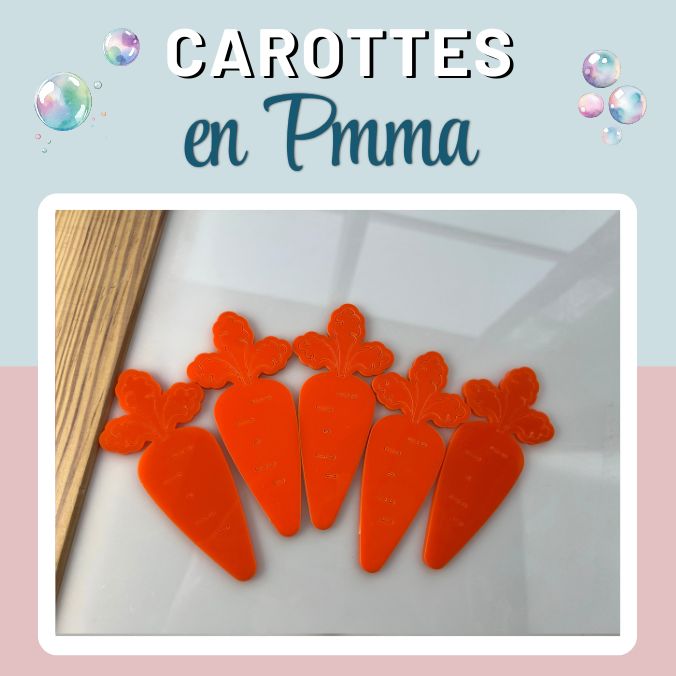 CAROTTES EN PMMA