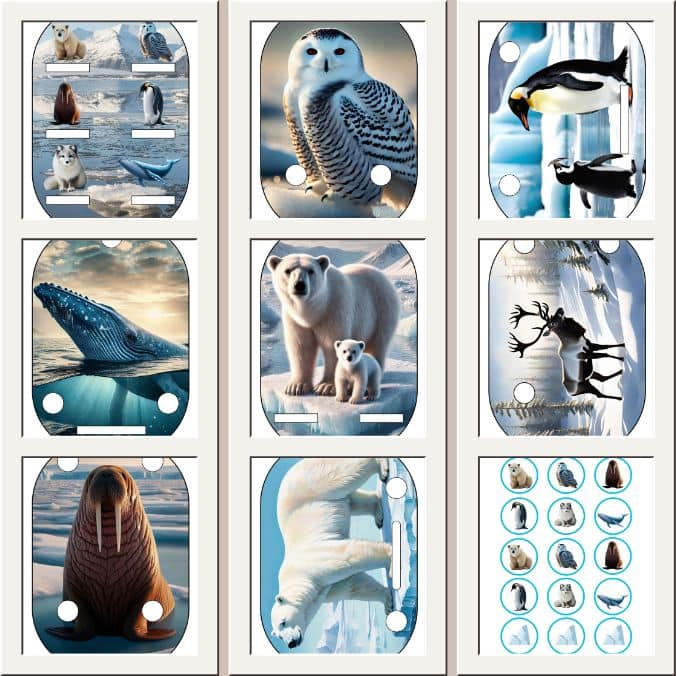 Les animaux polaires 16 inserts à imprimer pour Trofast IKEA – Image 3