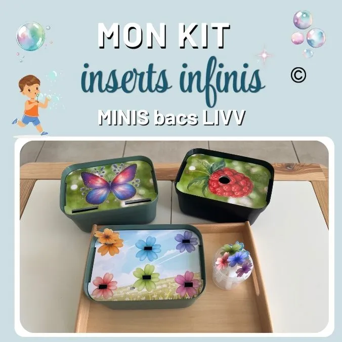 iNSERTS-INFINIS-BACS-LIVV-_1_
