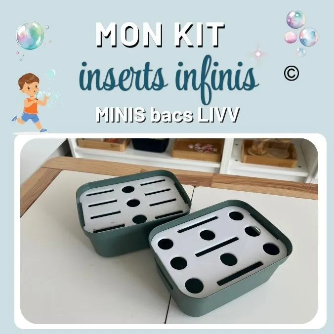 iNSERTS-INFINIS-BACS-LIVV-_1_
