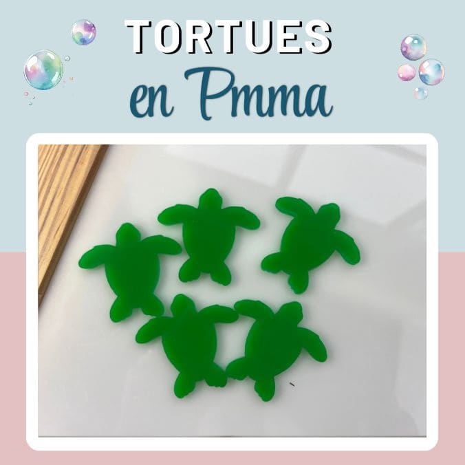 tortues EN PMMA