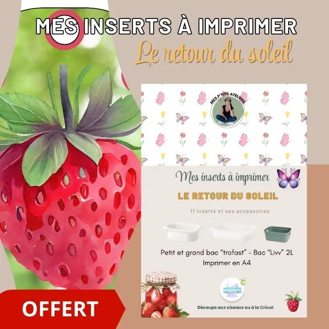 insert offert le retour du soleil