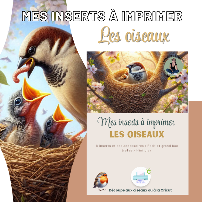 Les-oiseaux-inserts-à-imprimer