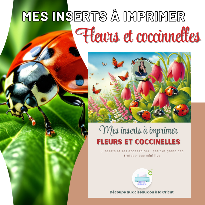fleurs-et-coccinelles-inserts-à-imprimer