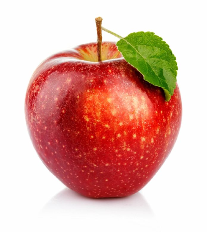 An Apple 一蘋果
