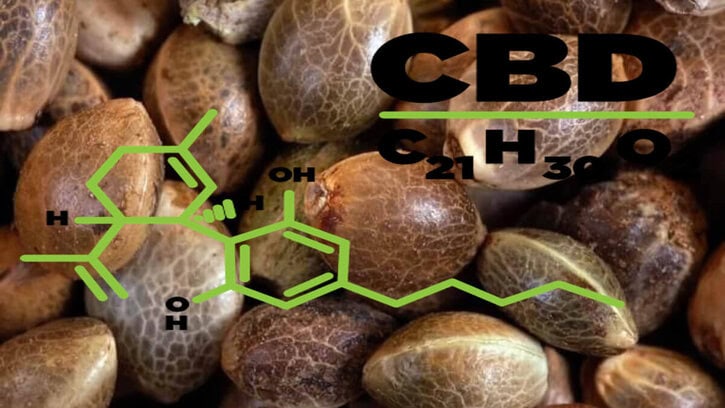 Types of CBD Seeds – What to Know