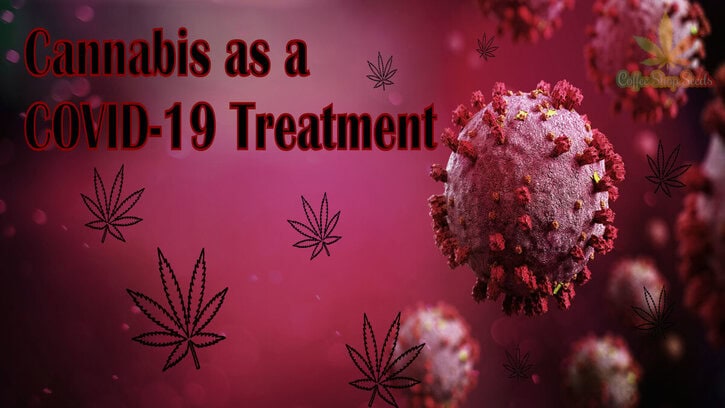 What You Should Know About Cannabis as a COVID-19 Treatment