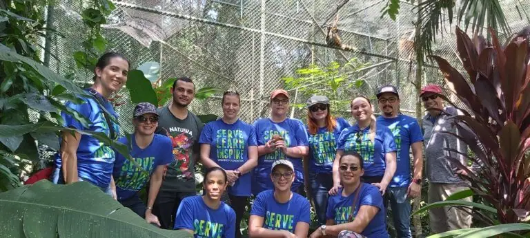 Read more about the article Corporate Volunteering with wild animals