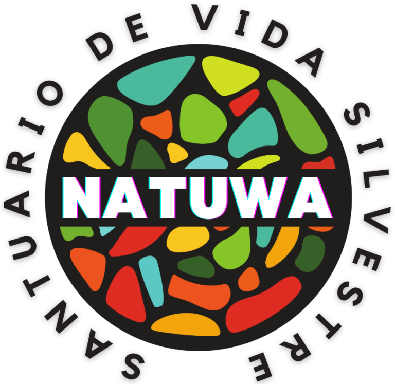 Lee más sobre el artículo ¿Cuál es el significado de la palabra Natuwa?