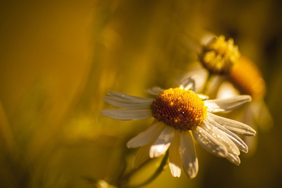 Drie tips voor meer innerlijke rust en emotioneel evenwicht