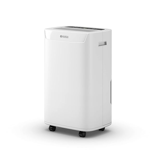 Deumidificatore Olimpia Splendid Aquaria S110P 10 Litri