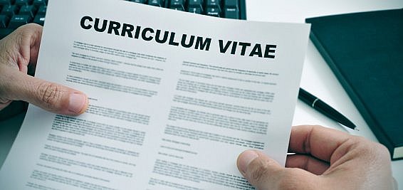 Career Summary on a management consultantancy candidate CVs