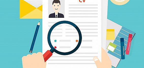 management consulting CV