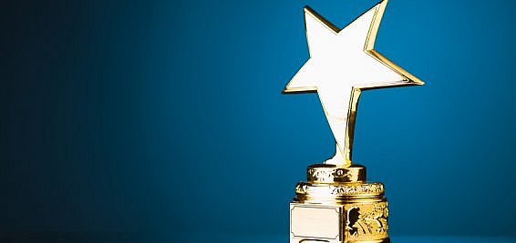 Top Consultant award