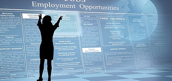 candidate searching for a management consultancy job