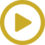 Webinar