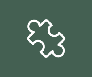 software software