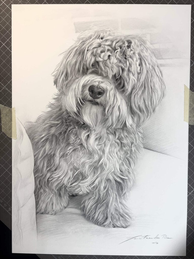 perrito retrato de perrito