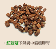 紅豆蔻-下氣調中溫暖脾胃