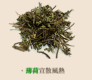 薄菏宣散風熱