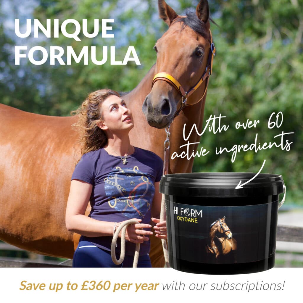 Hi Form Equine – Premium Horse Supplements