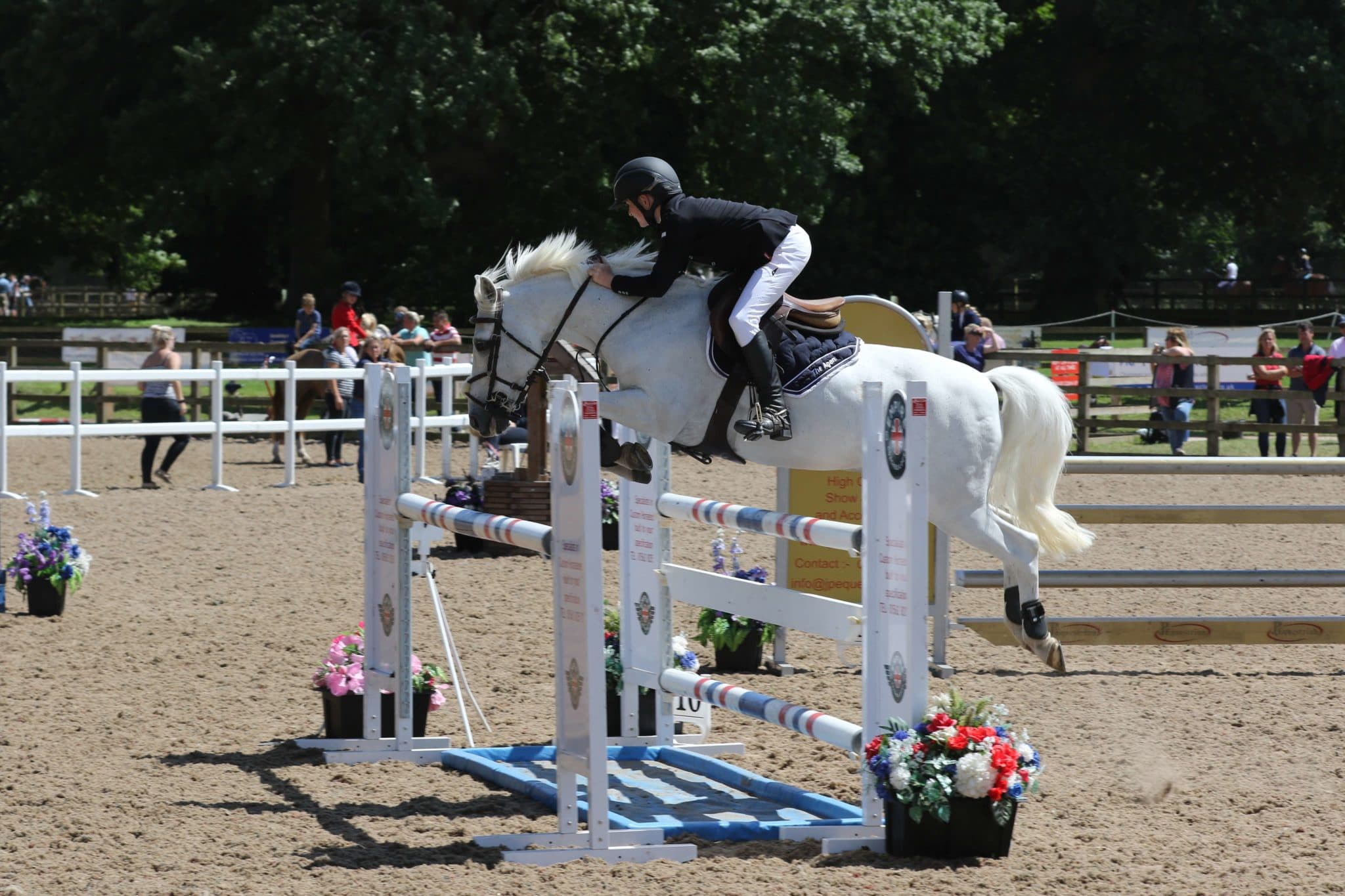 Hi Form Equine Jake Myers Showjumper