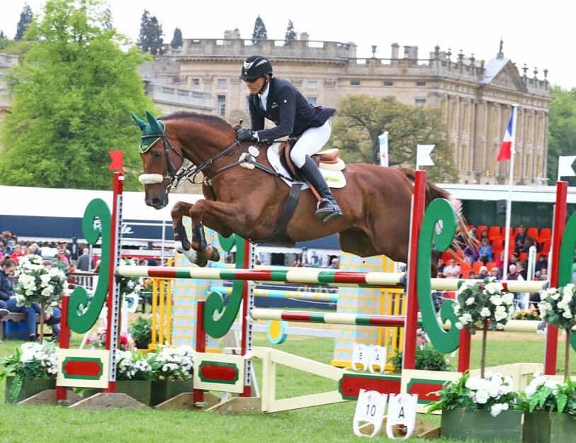 Hi Form Equine – Premium Horse Supplements