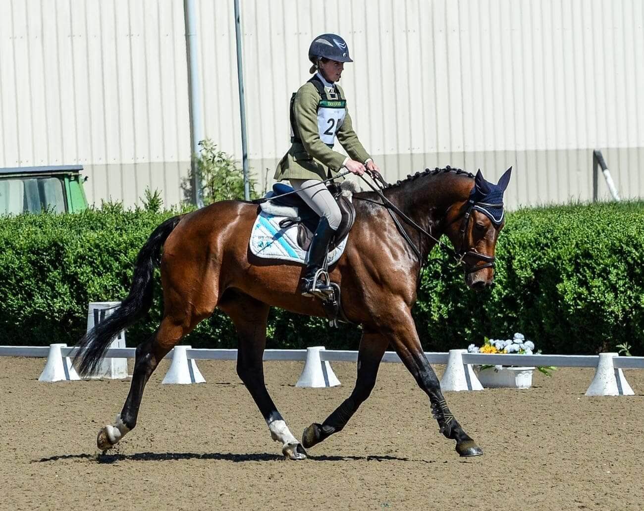 Hi Form Topline and Oxydane After - Alex Tordoff