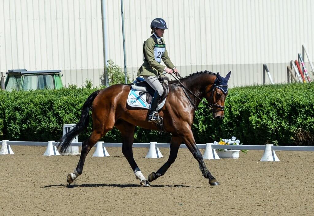 Hi Form Equine – Premium Horse Supplements