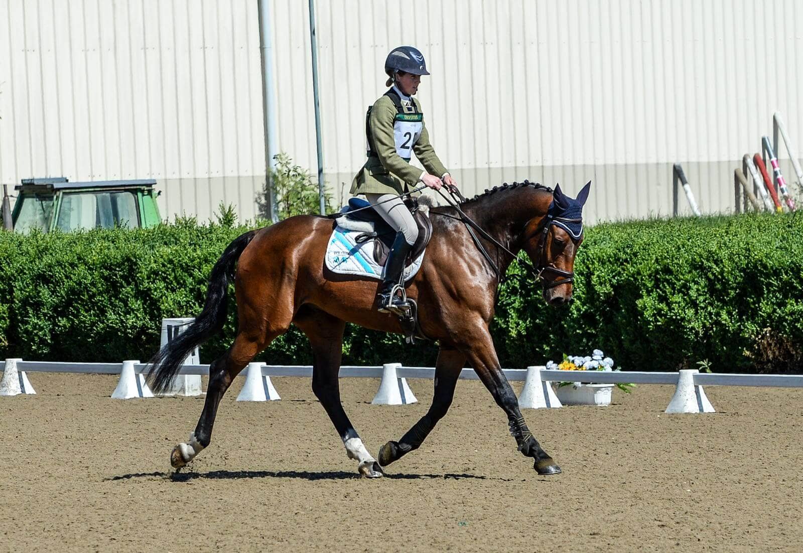 Hi Form Oxydane and Topline After - Alex Tordoff