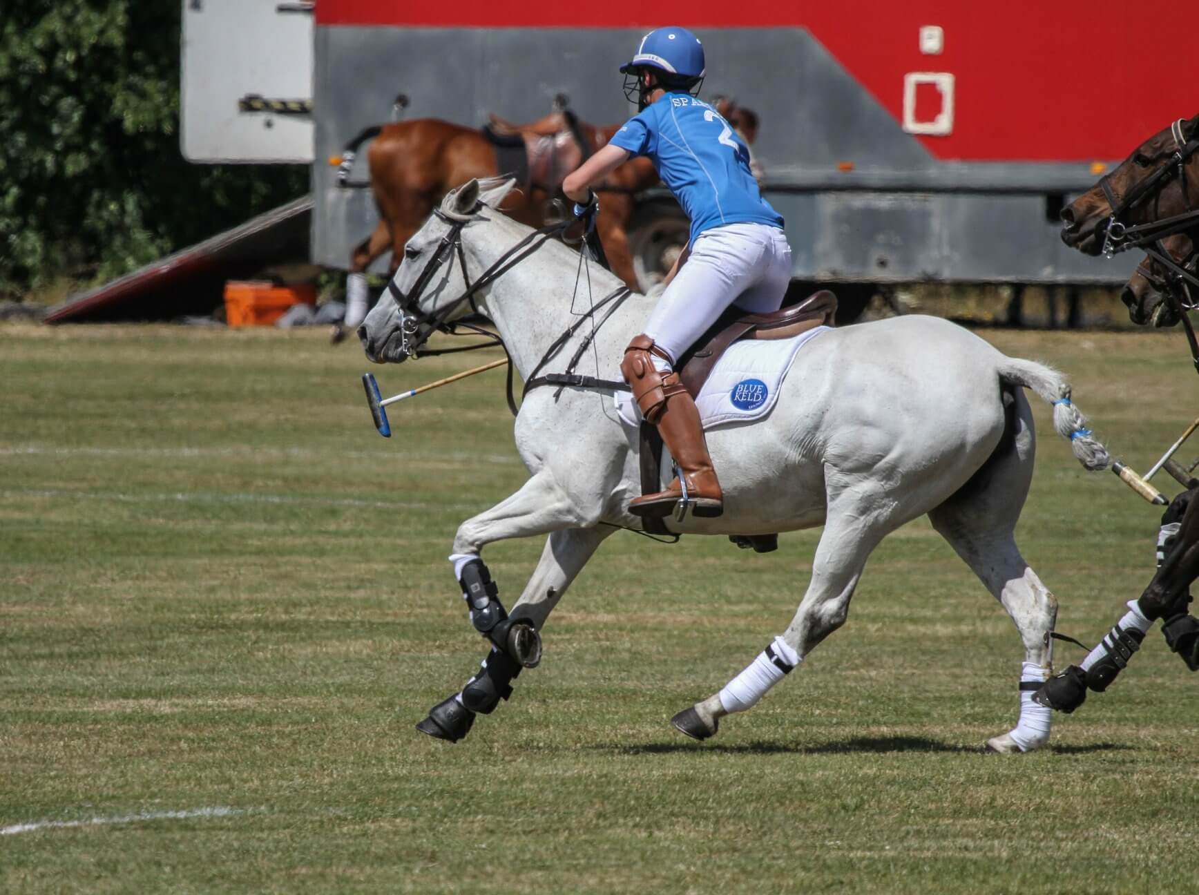 Hi Form Adam Russell Polo