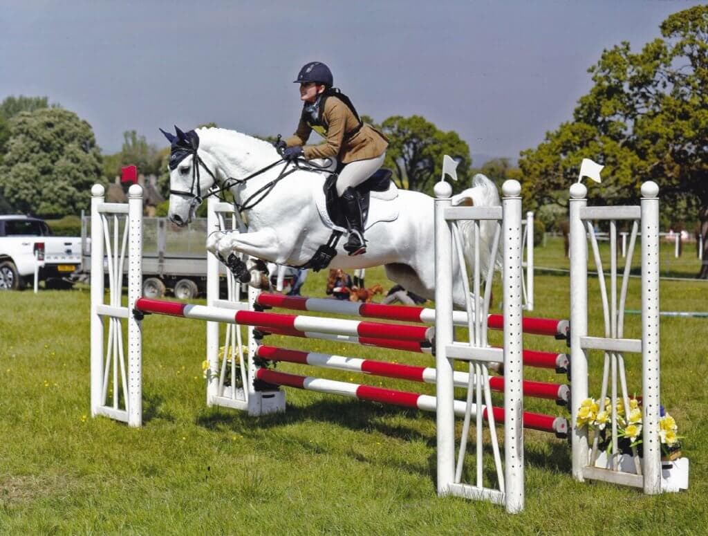 Hi Form Equine – Premium Horse Supplements