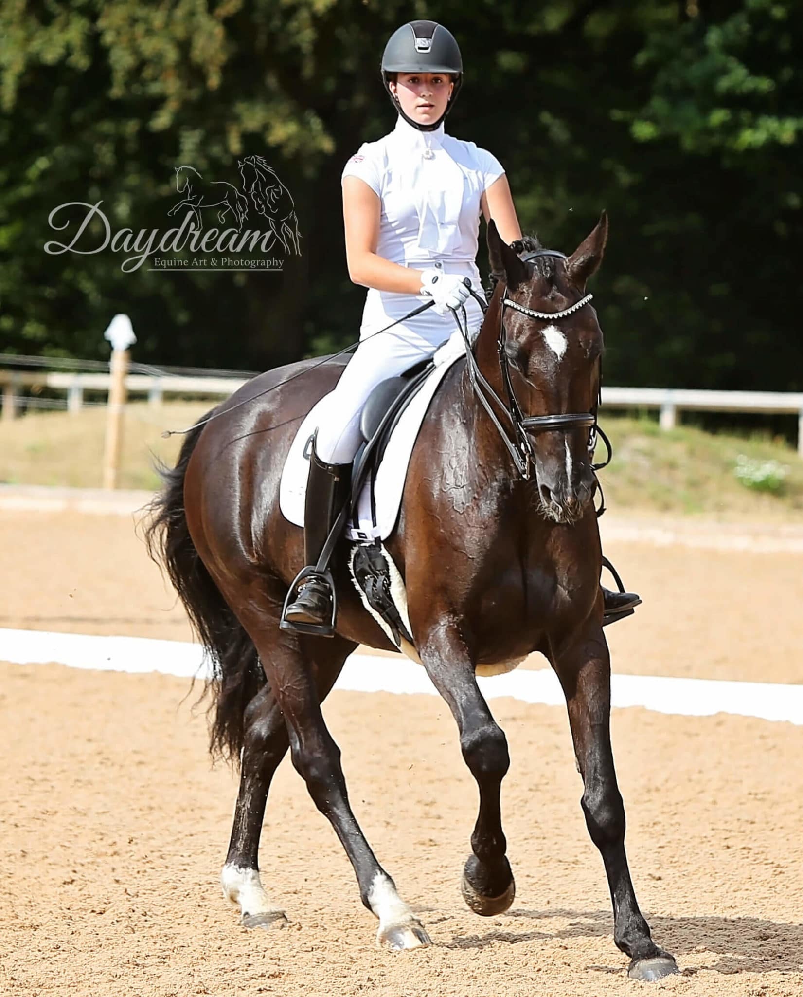 Hi Form Jessie Kirby Dressage
