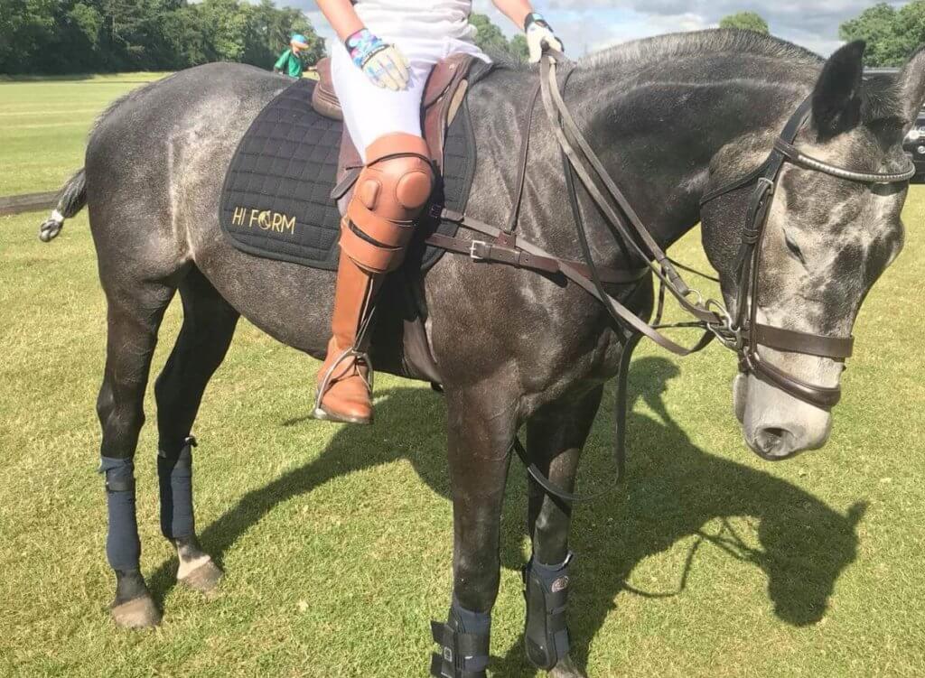 Hi Form Equine – Premium Horse Supplements