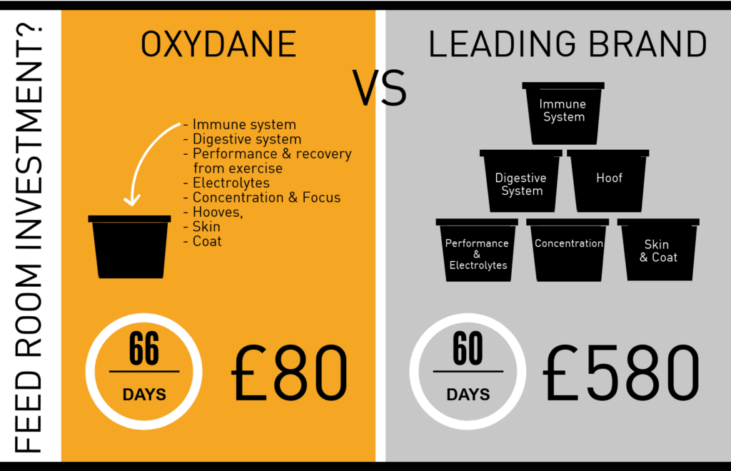 Hi Form Equine – Premium Horse Supplements
