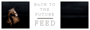 Hi Form Back to the Future Feeding