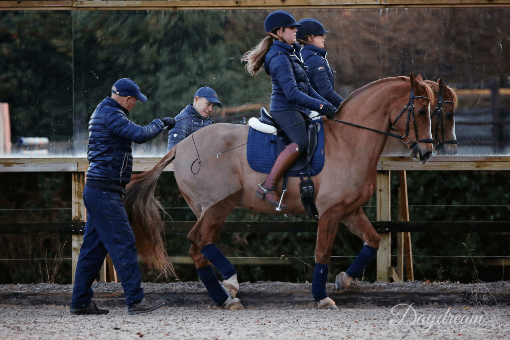 Hi Form Equine – Premium Horse Supplements