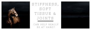 Hi Form Stiffness, Soft Tissue and Joints