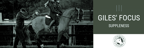 Hi Form Equine – Premium Horse Supplements