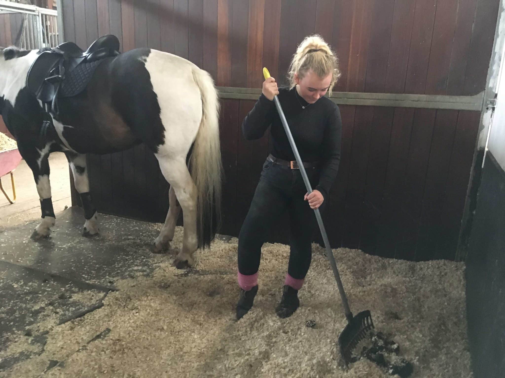 Hi Form Clare Howard Balanced Rider
