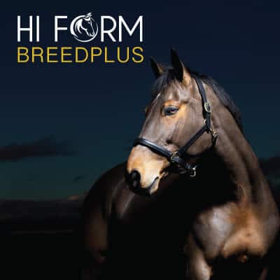 Hi Form Equine – Premium Horse Supplements