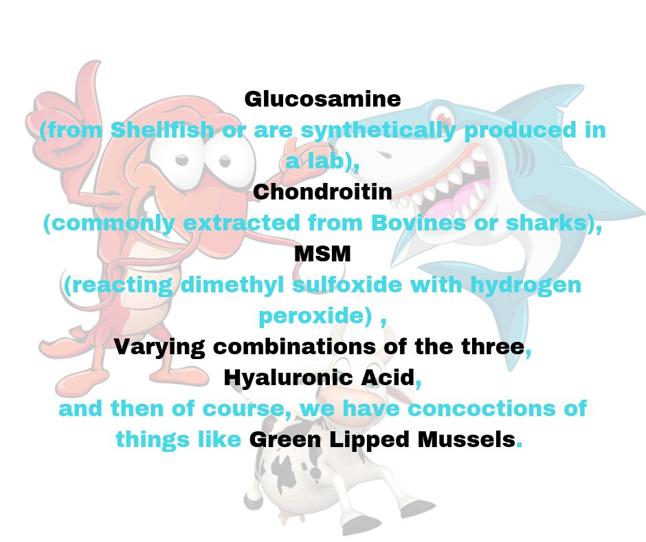 Hi Form Equine – Premium Horse Supplements