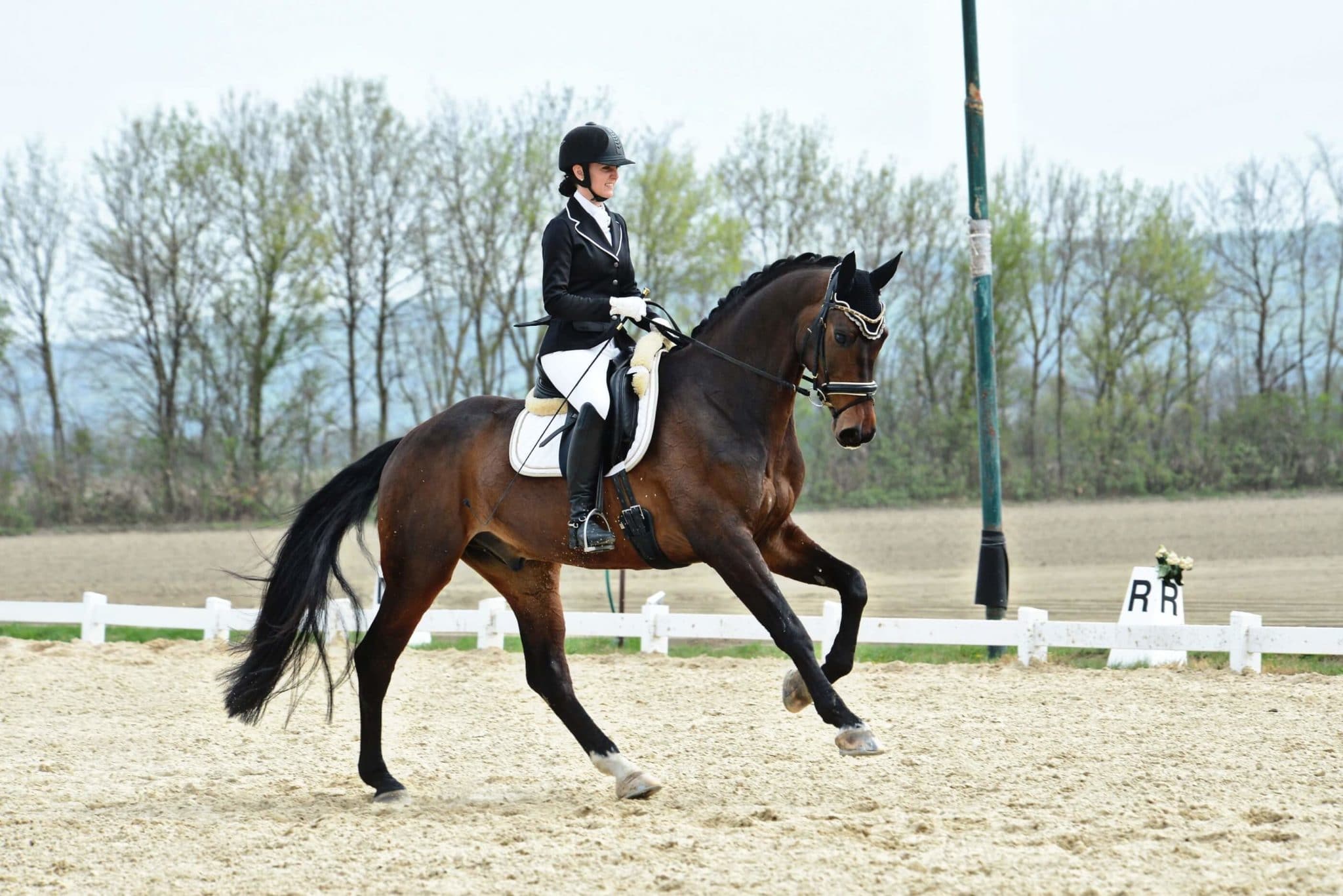 Hi Form Anna Pichler