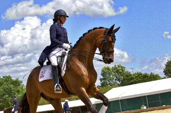 Hi Form Equine – Premium Horse Supplements